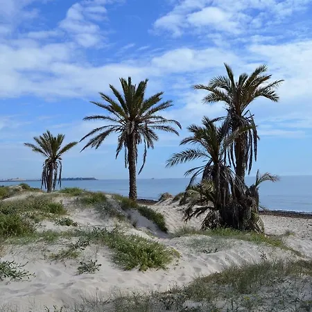 Casa Con Terraza Tatil Evi